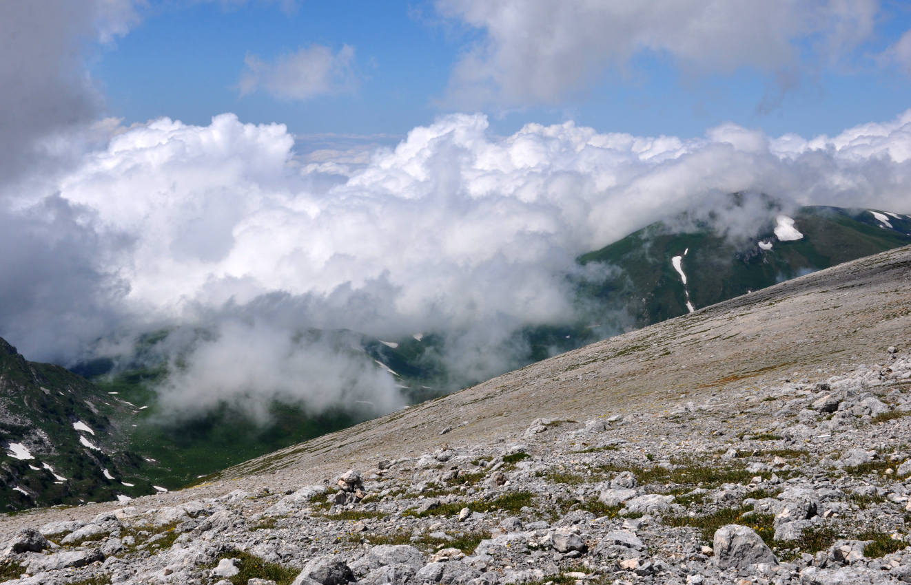 Оштен, image of landscape/habitat.