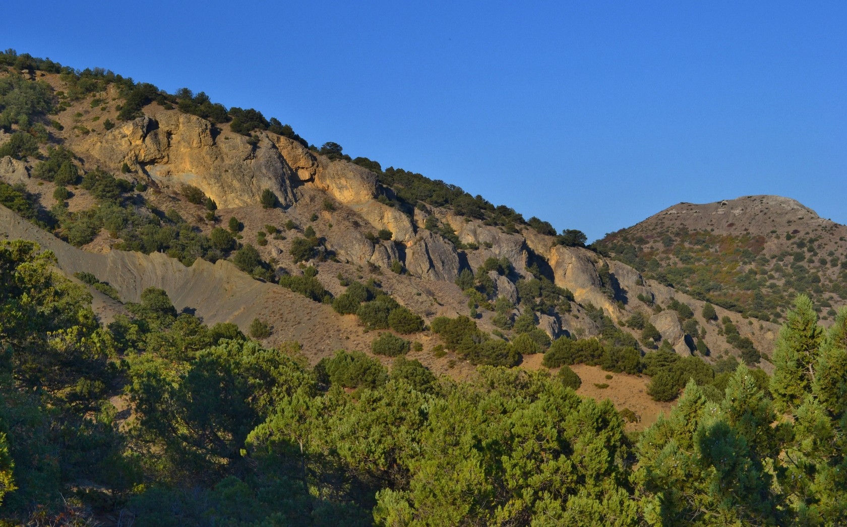 Перчем, image of landscape/habitat.