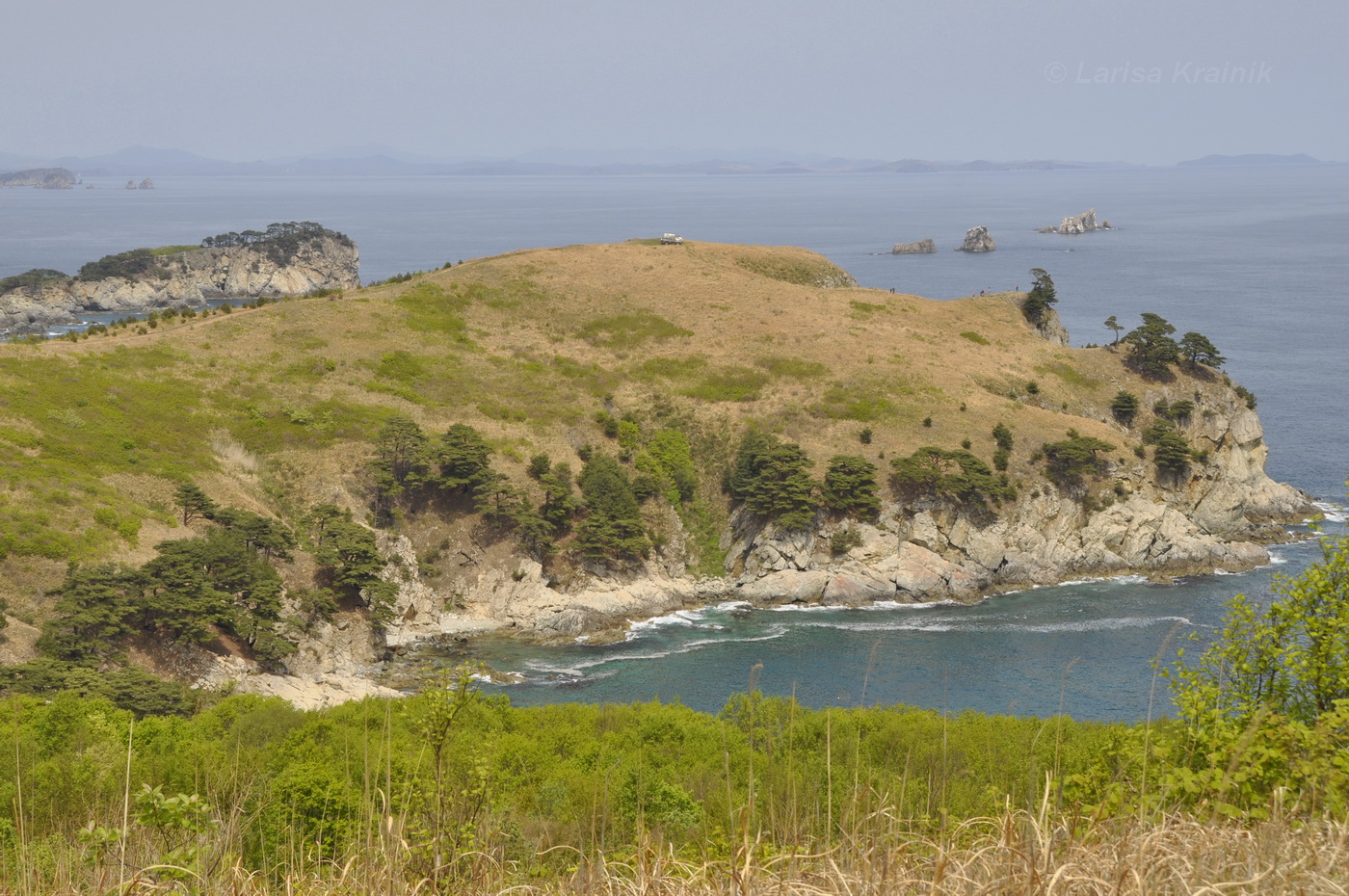 Полуостров Гамова, image of landscape/habitat.