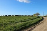 Image of landscape