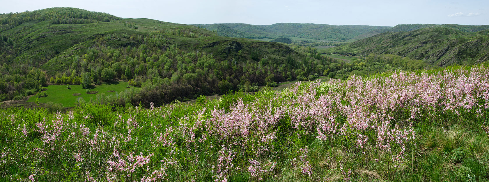 Окрестности Акъюлово, image of landscape/habitat.