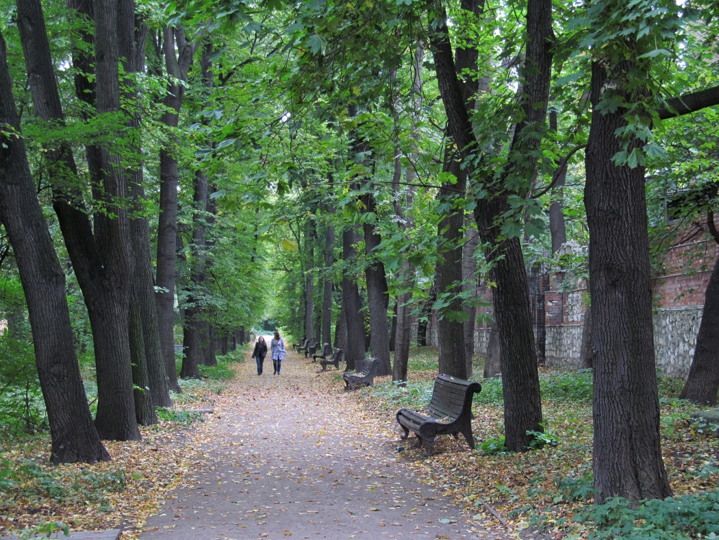 Аптекарский огород, image of landscape/habitat.