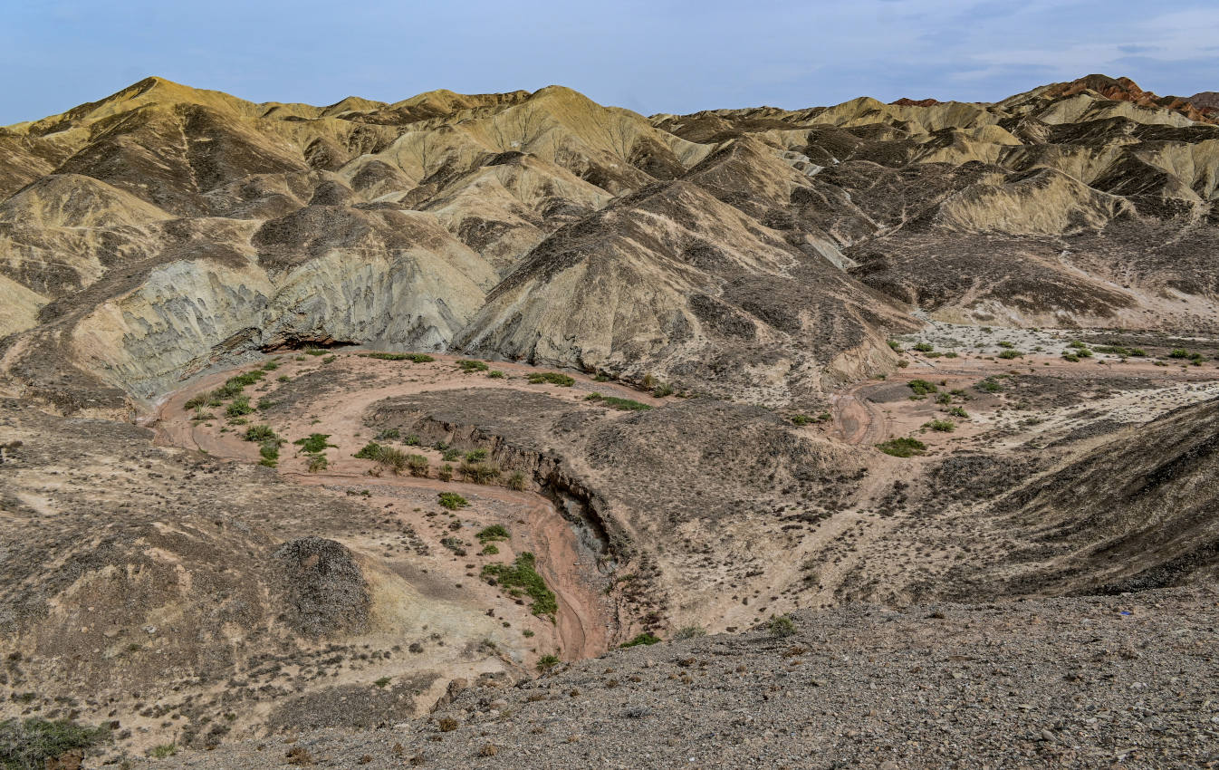 Национальный парк "Данься", image of landscape/habitat.