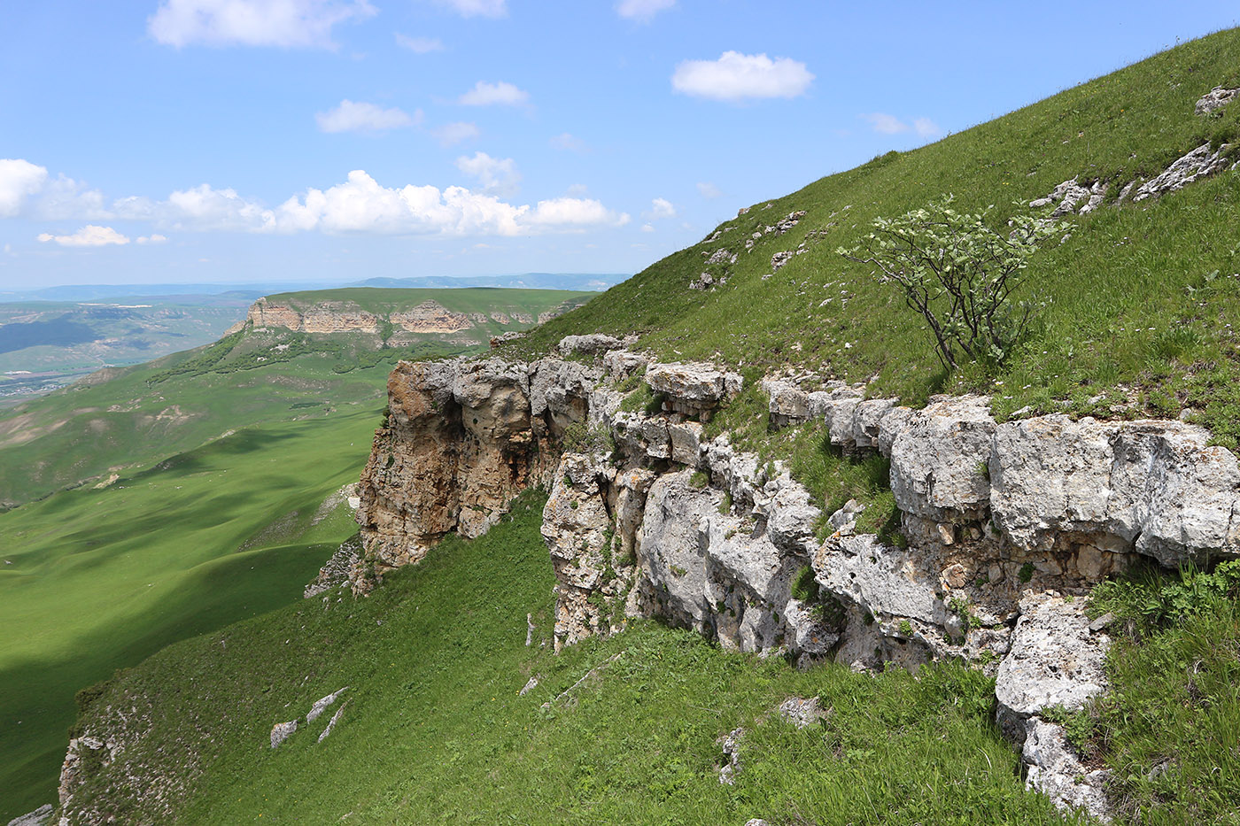 Джангур, image of landscape/habitat.