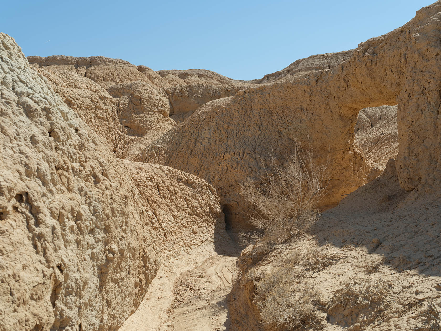 Сарымсакты, image of landscape/habitat.