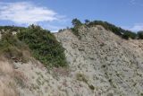 Нагорье Дюрсо-Лиманчик, image of landscape/habitat.