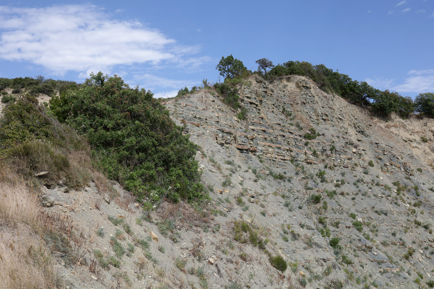 Нагорье Дюрсо-Лиманчик, image of landscape/habitat.