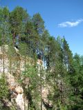 Image of landscape