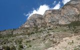 Середина Алагирского ущелья, изображение ландшафта.