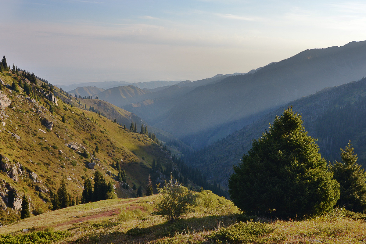 Верхний Горельник, image of landscape/habitat.