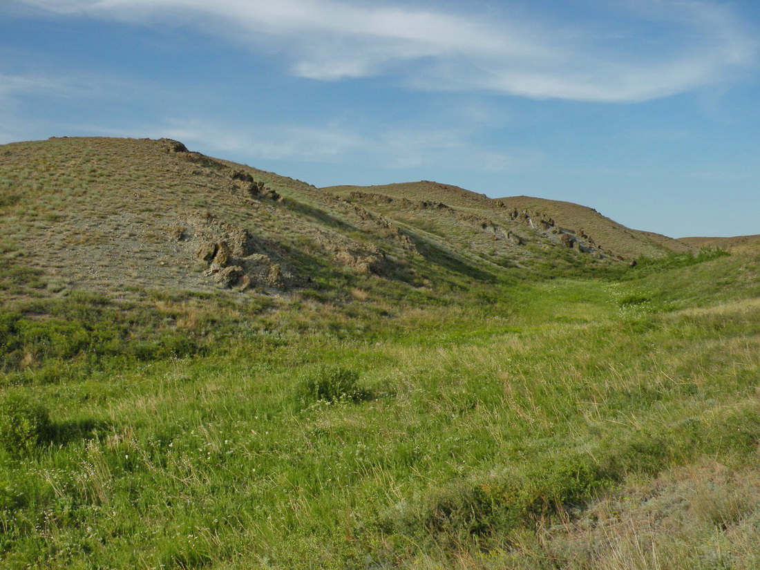 Мугоджары, image of landscape/habitat.