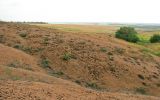 Image of landscape