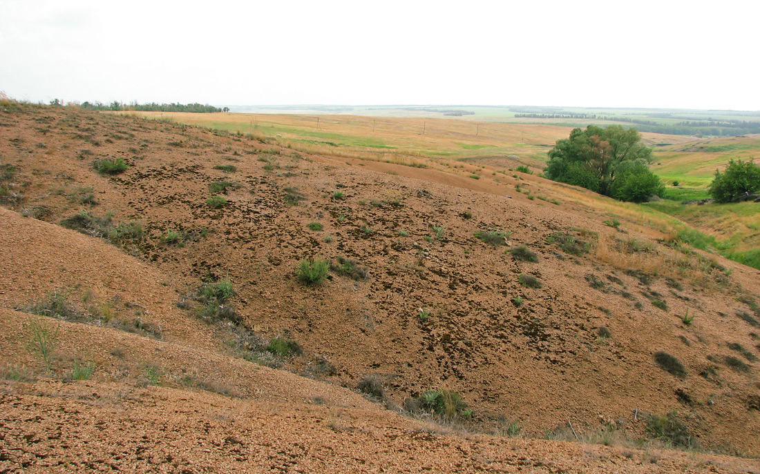 Хан-Тарама, image of landscape/habitat.