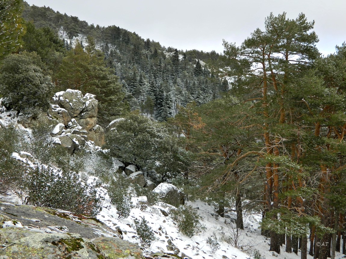 Аbantos (гора стервятников), image of landscape/habitat.