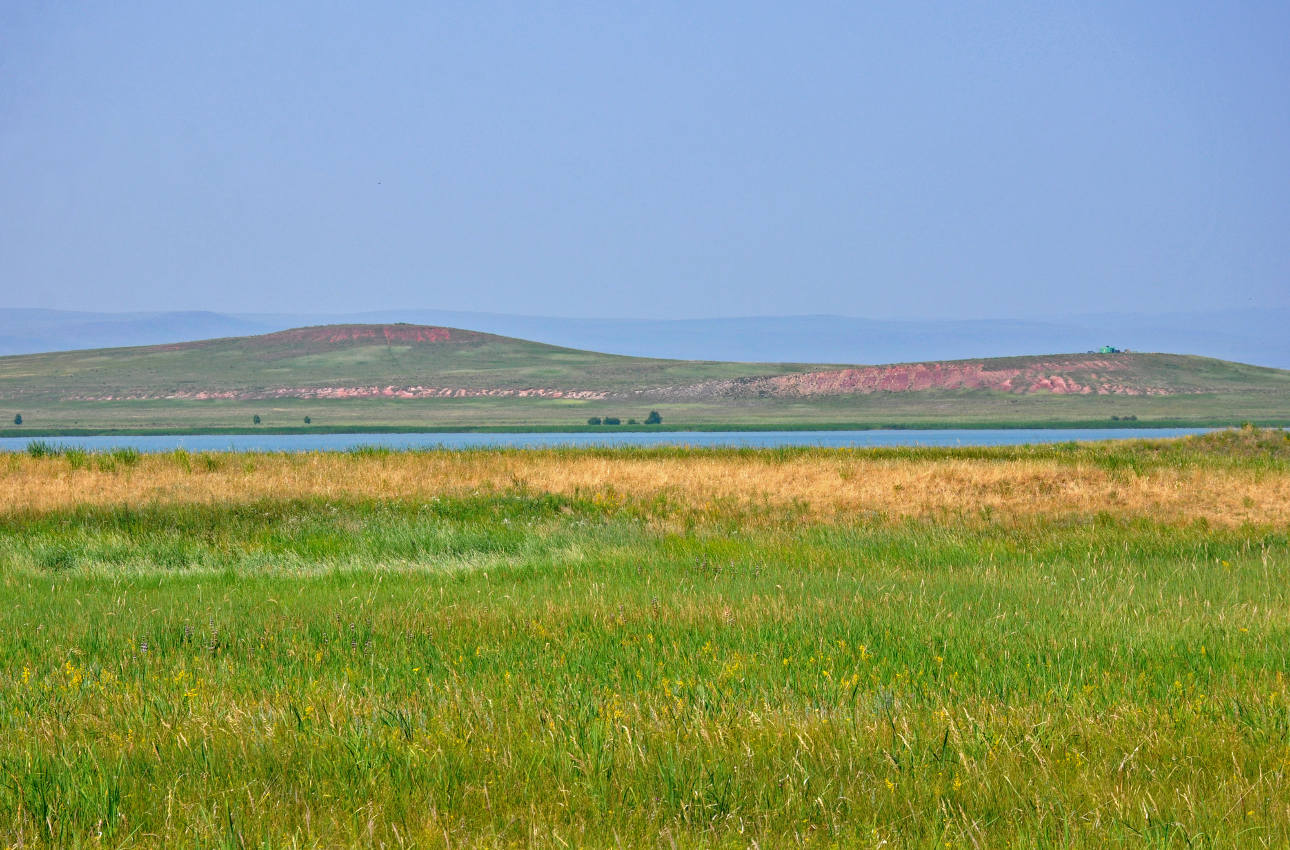 Озеро Малое Белё, image of landscape/habitat.