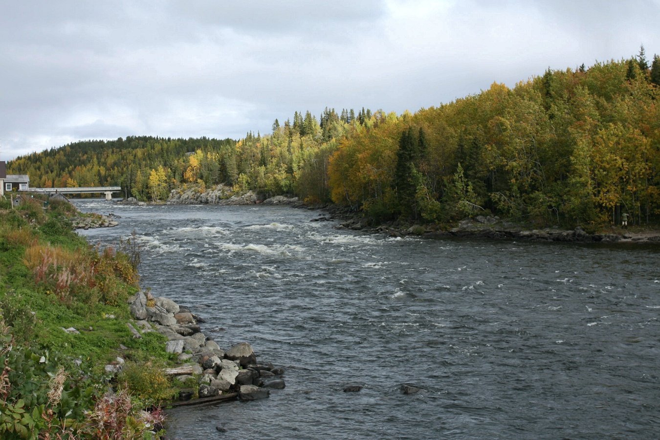 Умба, image of landscape/habitat.