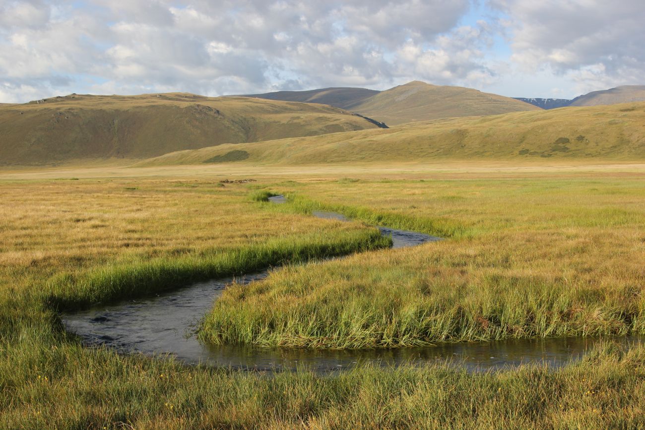 Окрестности Гусиного озера, image of landscape/habitat.