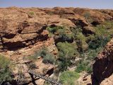 Kings Canyon, image of landscape/habitat.