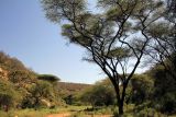 Image of landscape