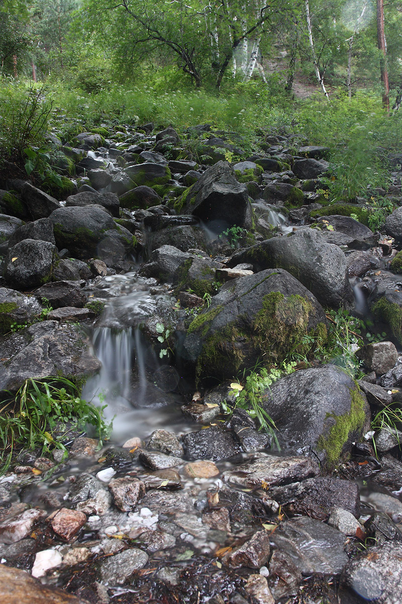 Аршан, image of landscape/habitat.