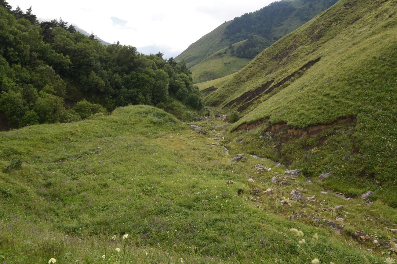 Урочище Кязи и окрестности, image of landscape/habitat.