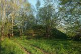 Image of landscape