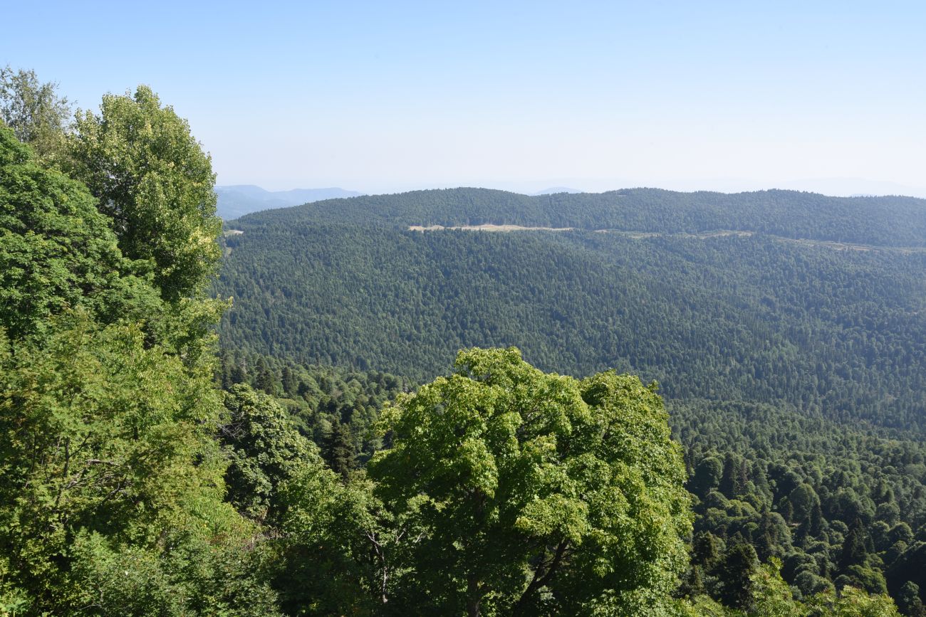 Окрестности ретранслятора, image of landscape/habitat.