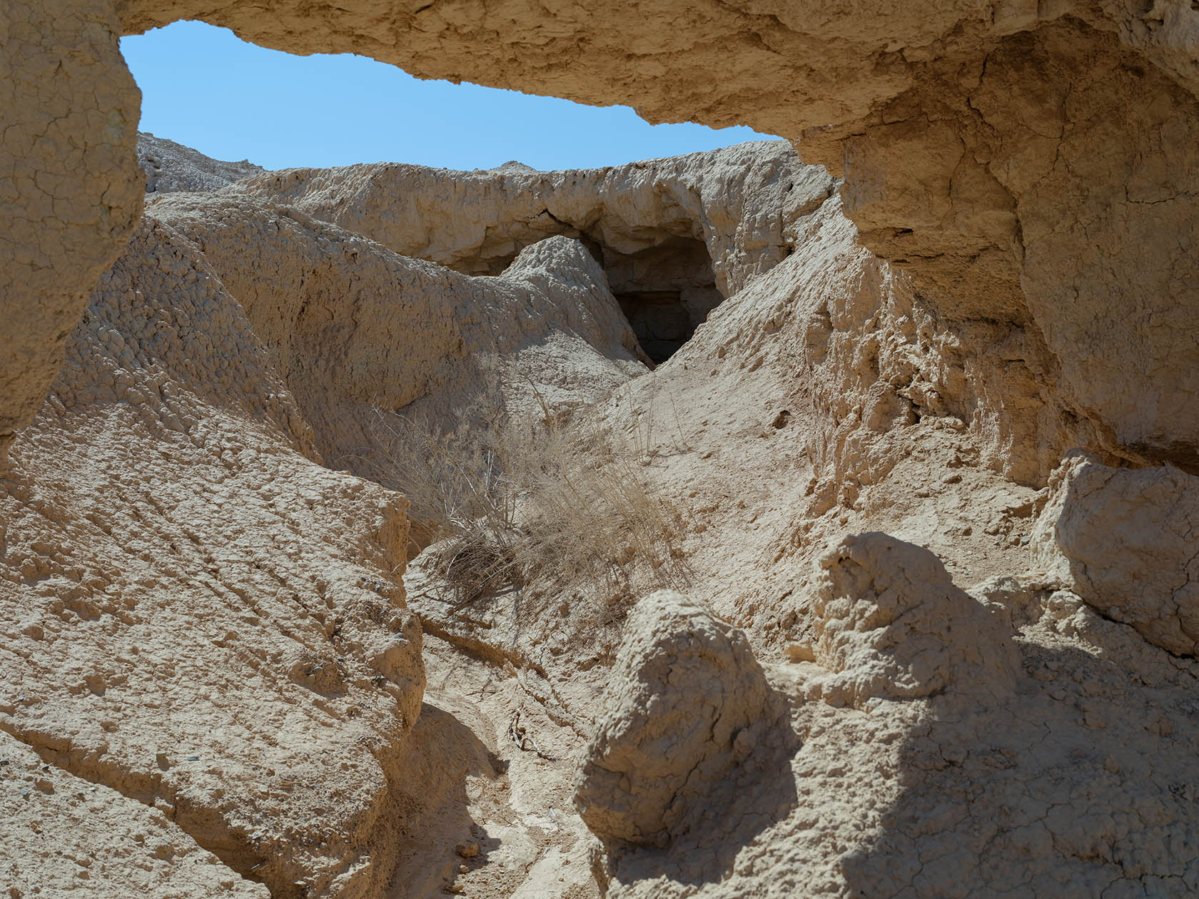 Сарымсакты, image of landscape/habitat.