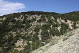 Нагорье Дюрсо-Лиманчик, image of landscape/habitat.