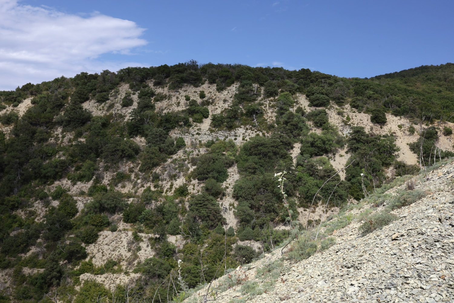 Нагорье Дюрсо-Лиманчик, image of landscape/habitat.
