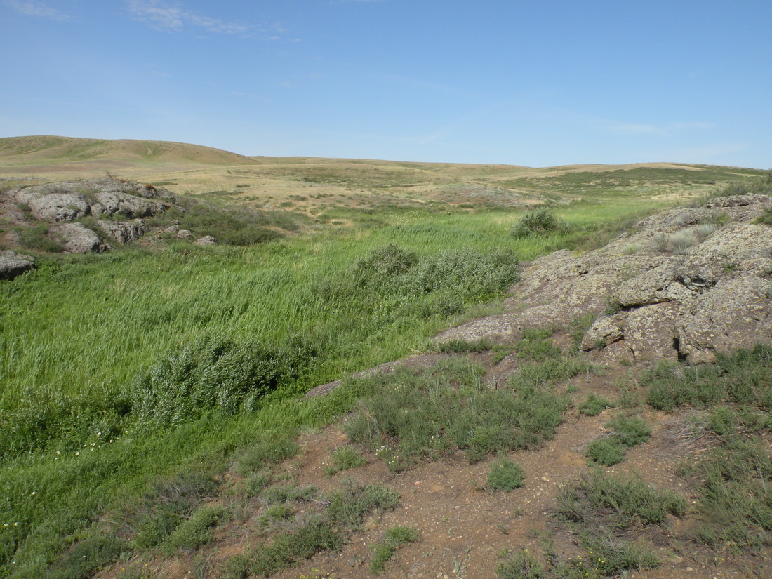 Мугоджары, image of landscape/habitat.