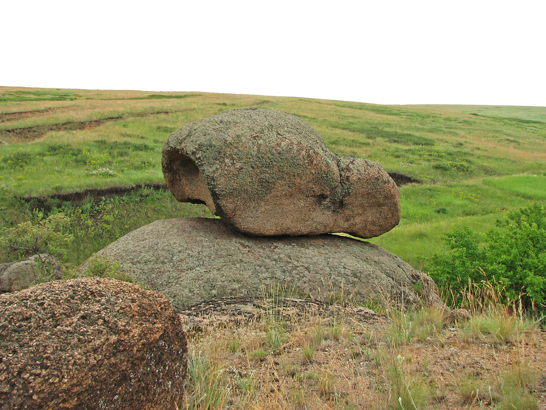 Хан-Тарама, image of landscape/habitat.