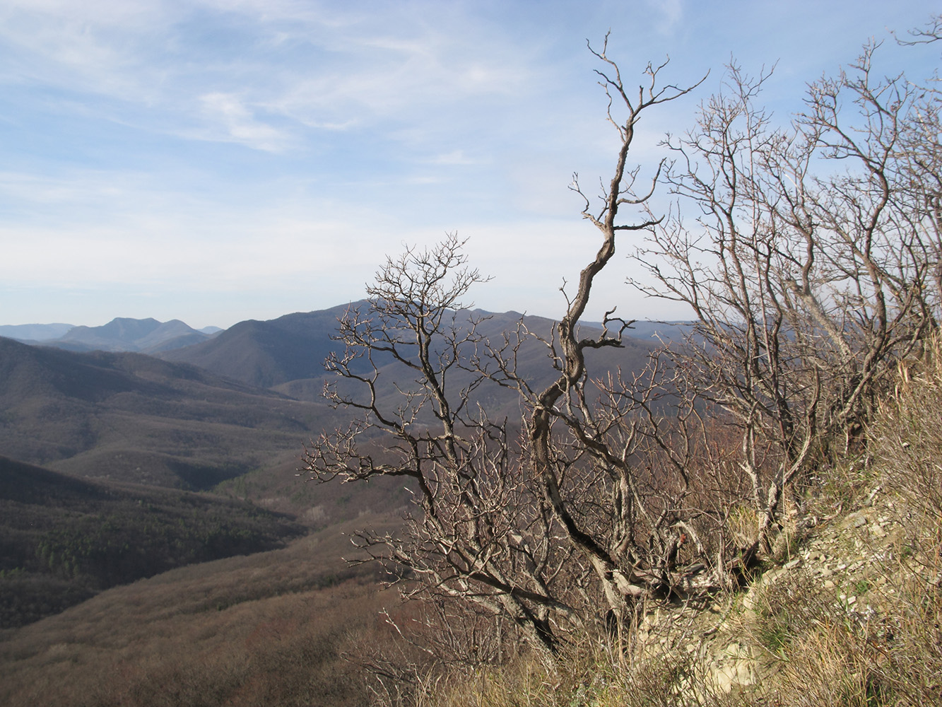 Собер-Баш, image of landscape/habitat.