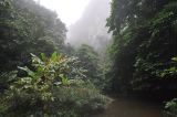 Ущелье Tonglin Gorge, изображение ландшафта.