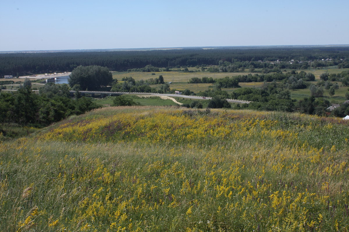 Окрестности Хотмыжска, image of landscape/habitat.