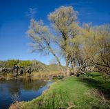 Окрестности Староякупово, image of landscape/habitat.