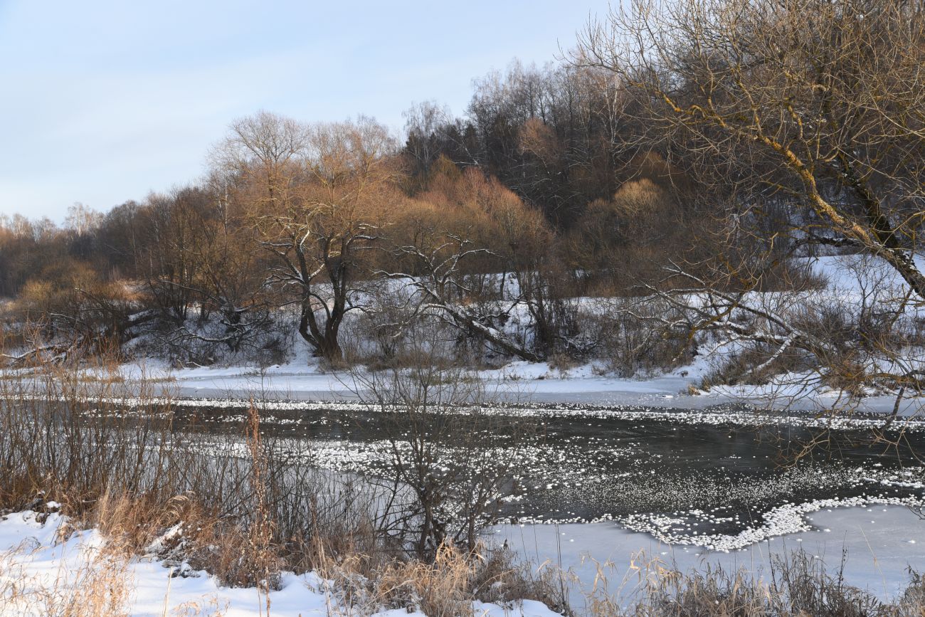 Барский Луг, image of landscape/habitat.