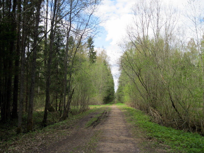 Парк "Зверинец", image of landscape/habitat.