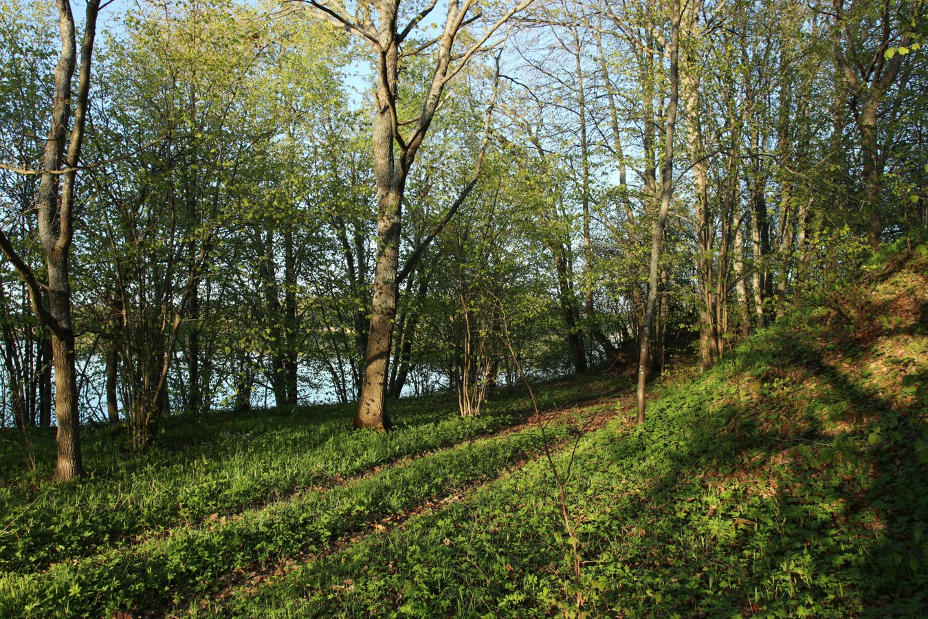 Езерище и окрестности, image of landscape/habitat.