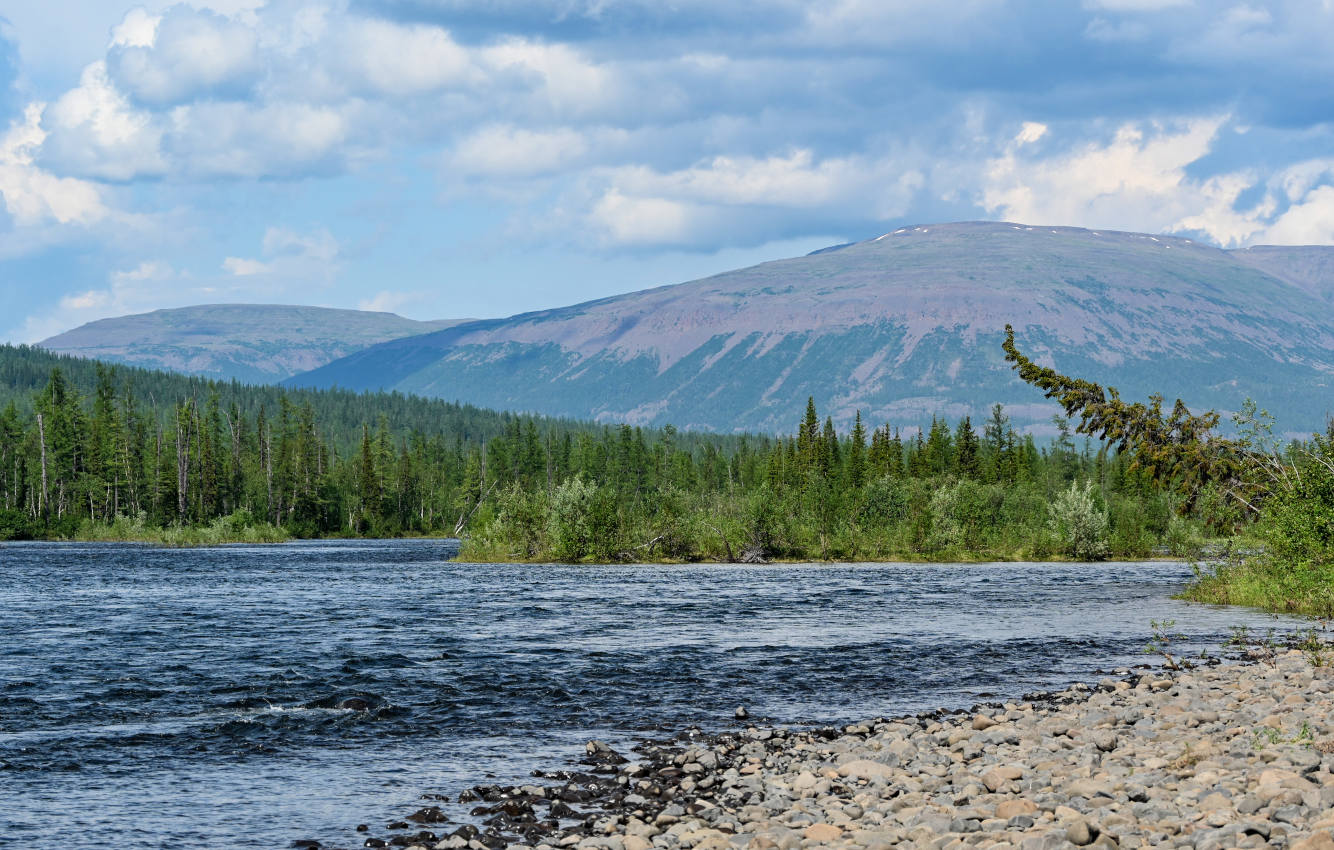 Долина реки Кутарамакан, image of landscape/habitat.