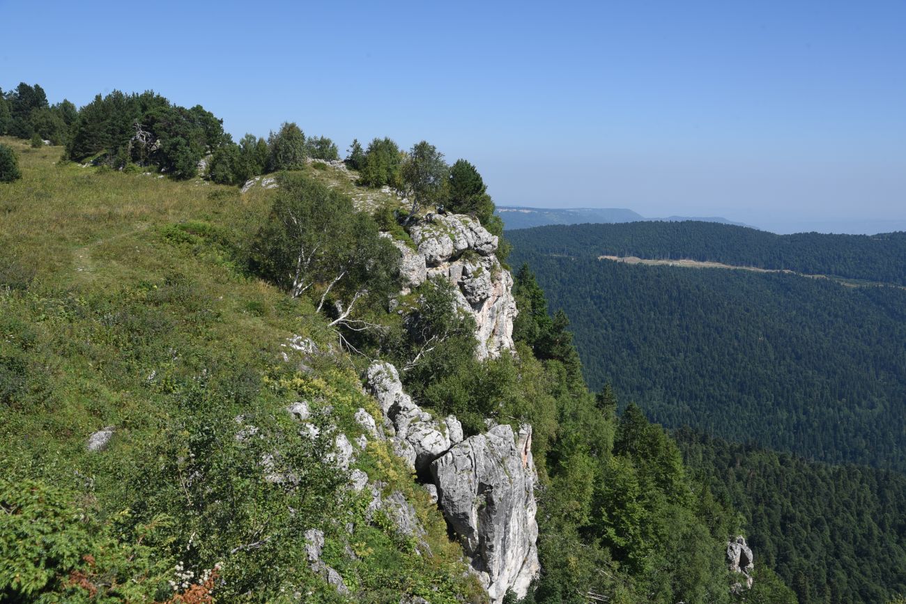 Окрестности ретранслятора, image of landscape/habitat.