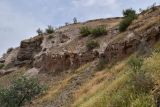 "Королевская дача", image of landscape/habitat.