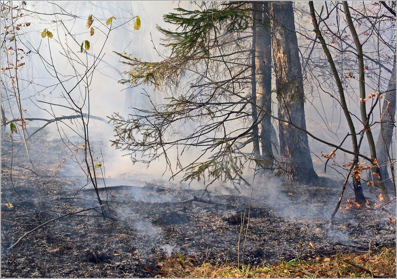Окрестности Хрипани, image of landscape/habitat.