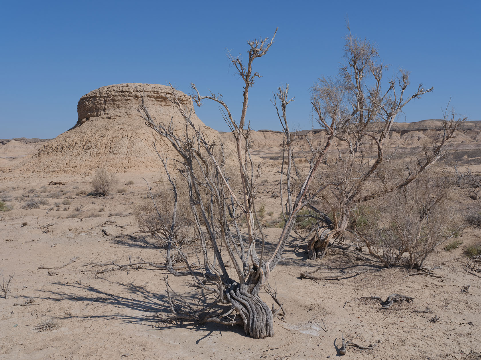 Сарымсакты, image of landscape/habitat.
