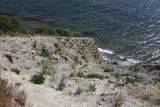 Нагорье Дюрсо-Лиманчик, image of landscape/habitat.