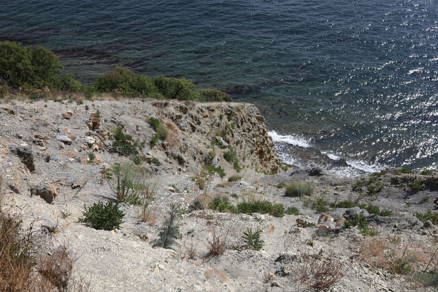 Нагорье Дюрсо-Лиманчик, image of landscape/habitat.