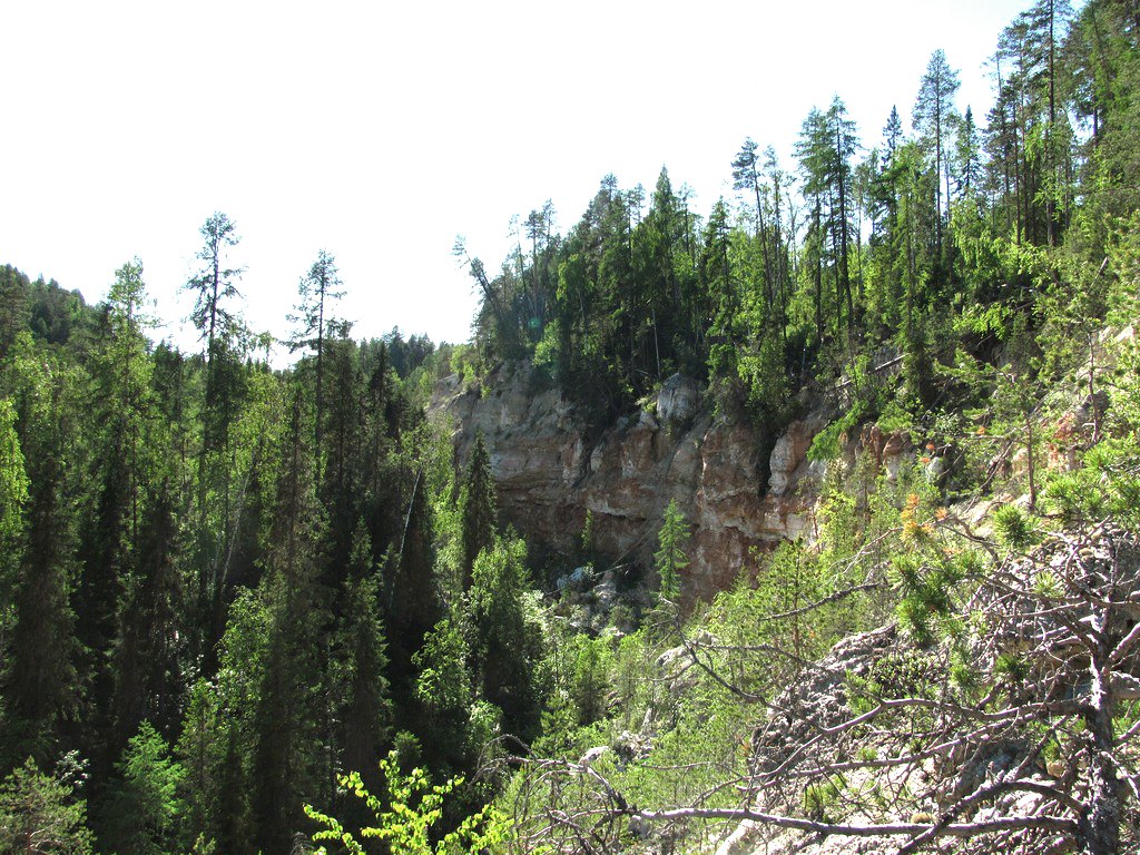 Окр. Пинежского заповедника, image of landscape/habitat.