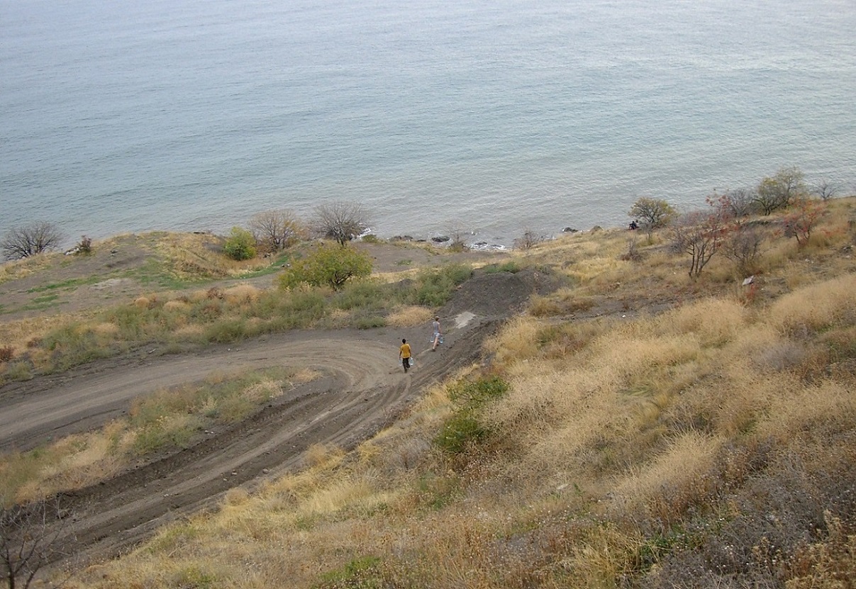 Малореченское и окрестности, image of landscape/habitat.