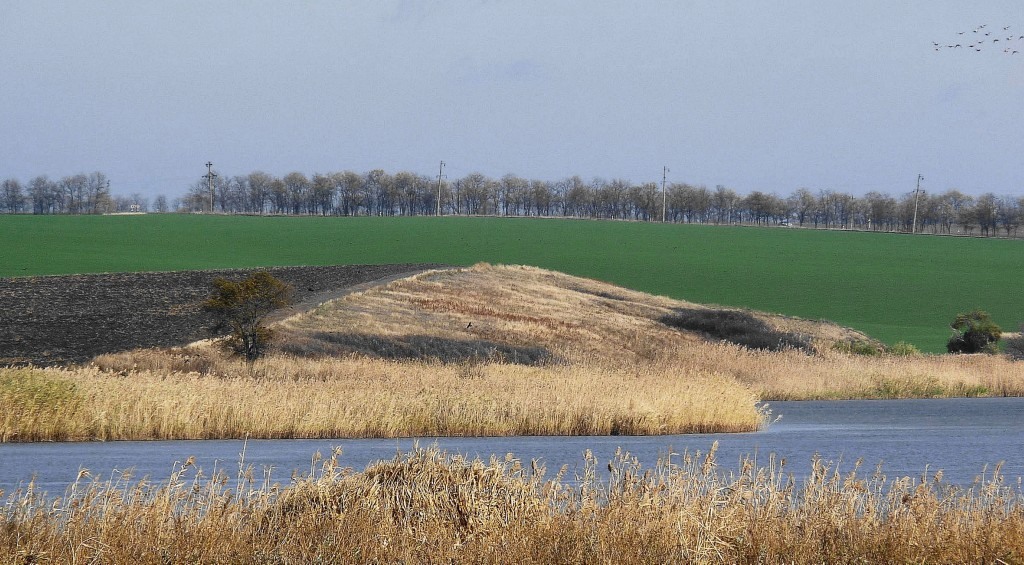 Сухой склон, image of landscape/habitat.