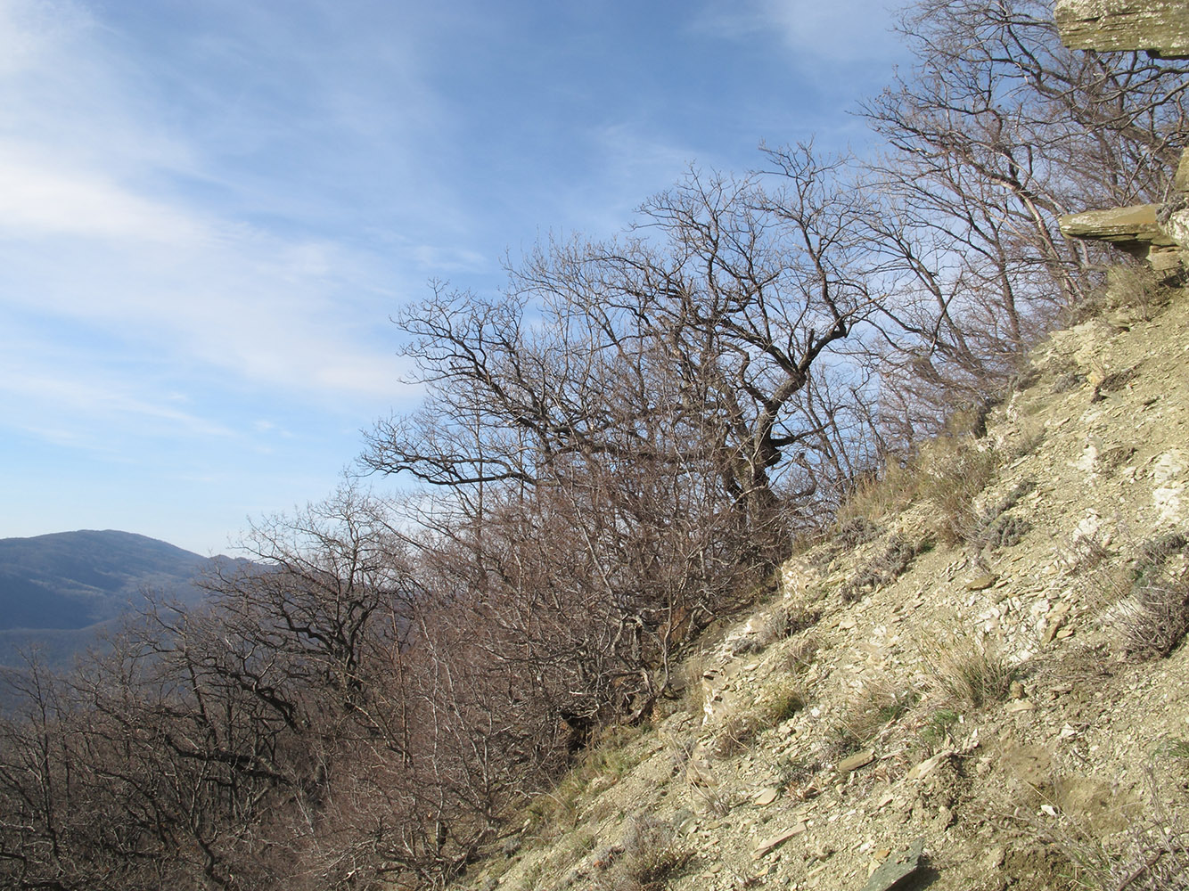 Собер-Баш, изображение ландшафта.